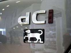 Dome Decal Sticker